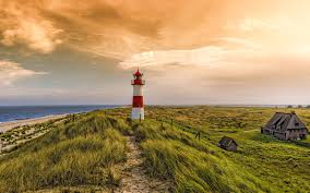 Sylt Ferienhaus Terrasse